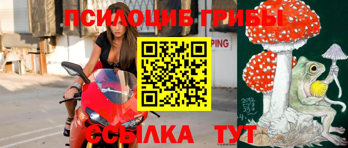 Галлюциногенные грибы прущие грибы  где купить   Зерноград  Вход с VPN  Псилоцибиновые грибы прущие грибы 